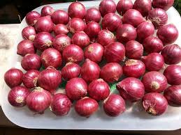 Bellary Onion